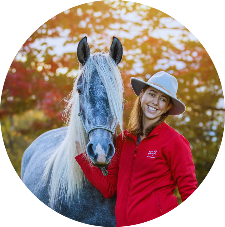 Entraînement de Chevaux Sherbrooke