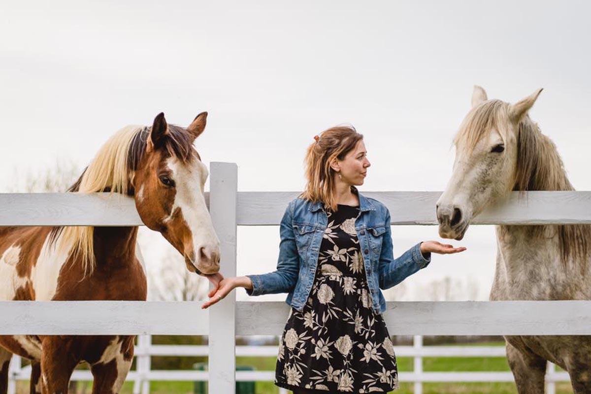 Horse Training Sherbrooke